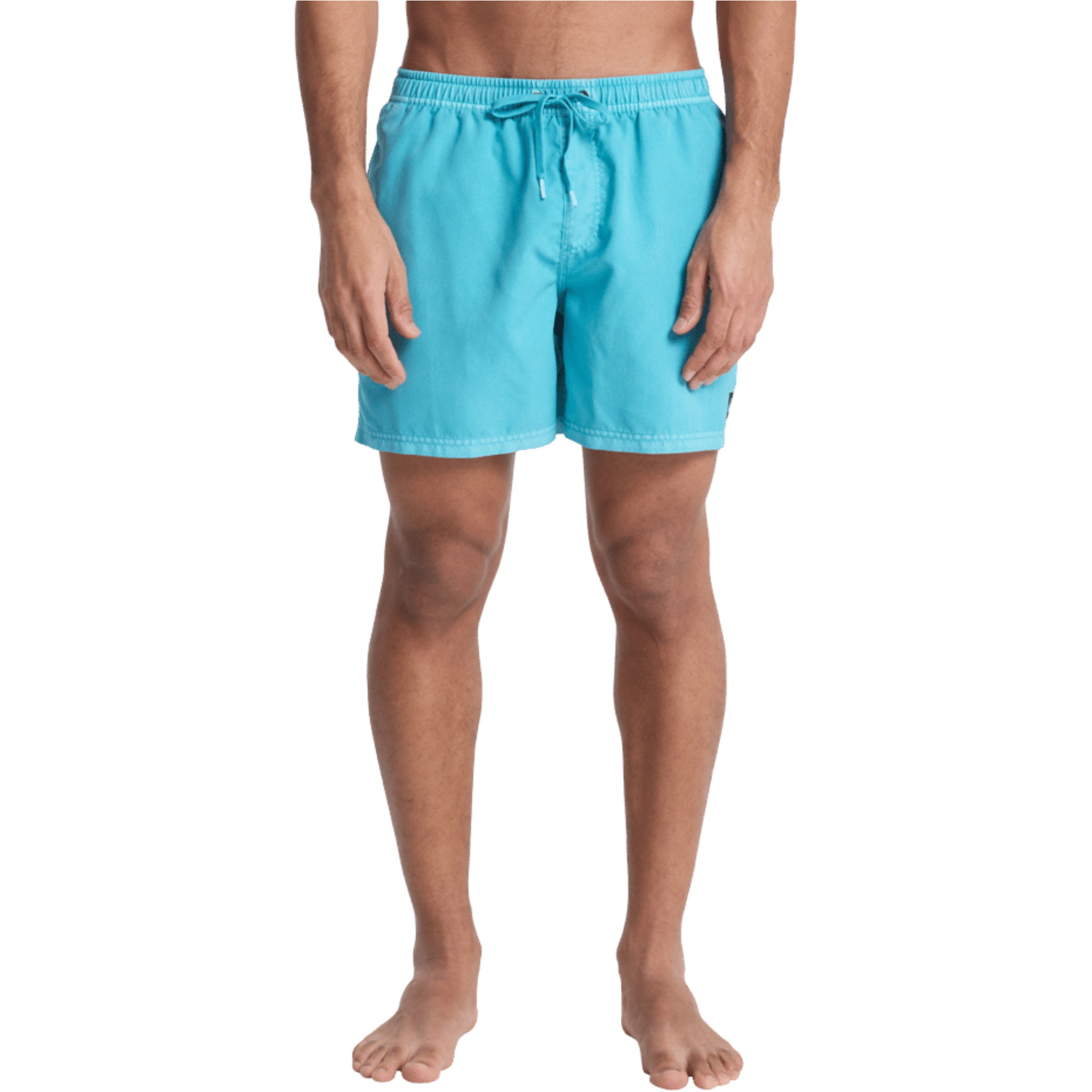 2026 Quiksilver Mens Everyday Surfwash Volley 15